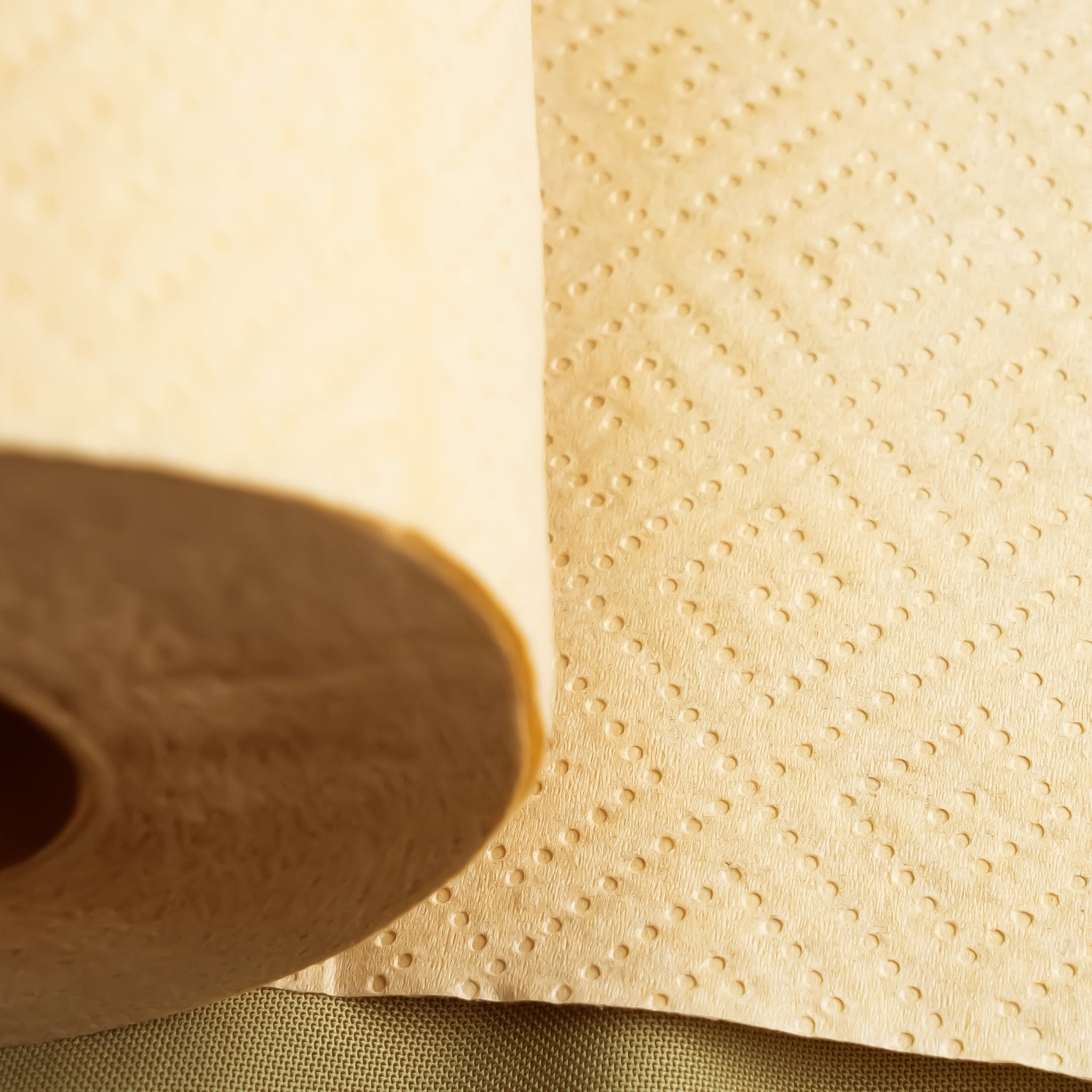 Panda Eco Paper | Bamboo Paper Towels - Aware House