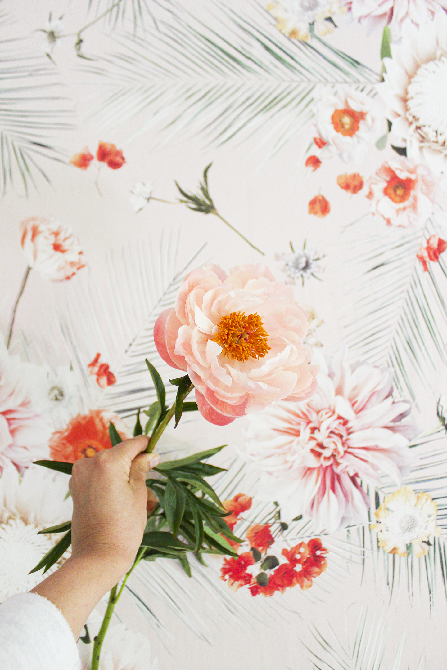 Palm Springs Wallpaper, peach-7