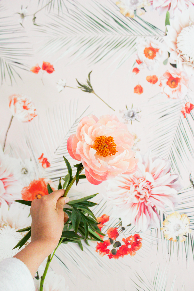 Palm Springs Wallpaper, peach-zoom-