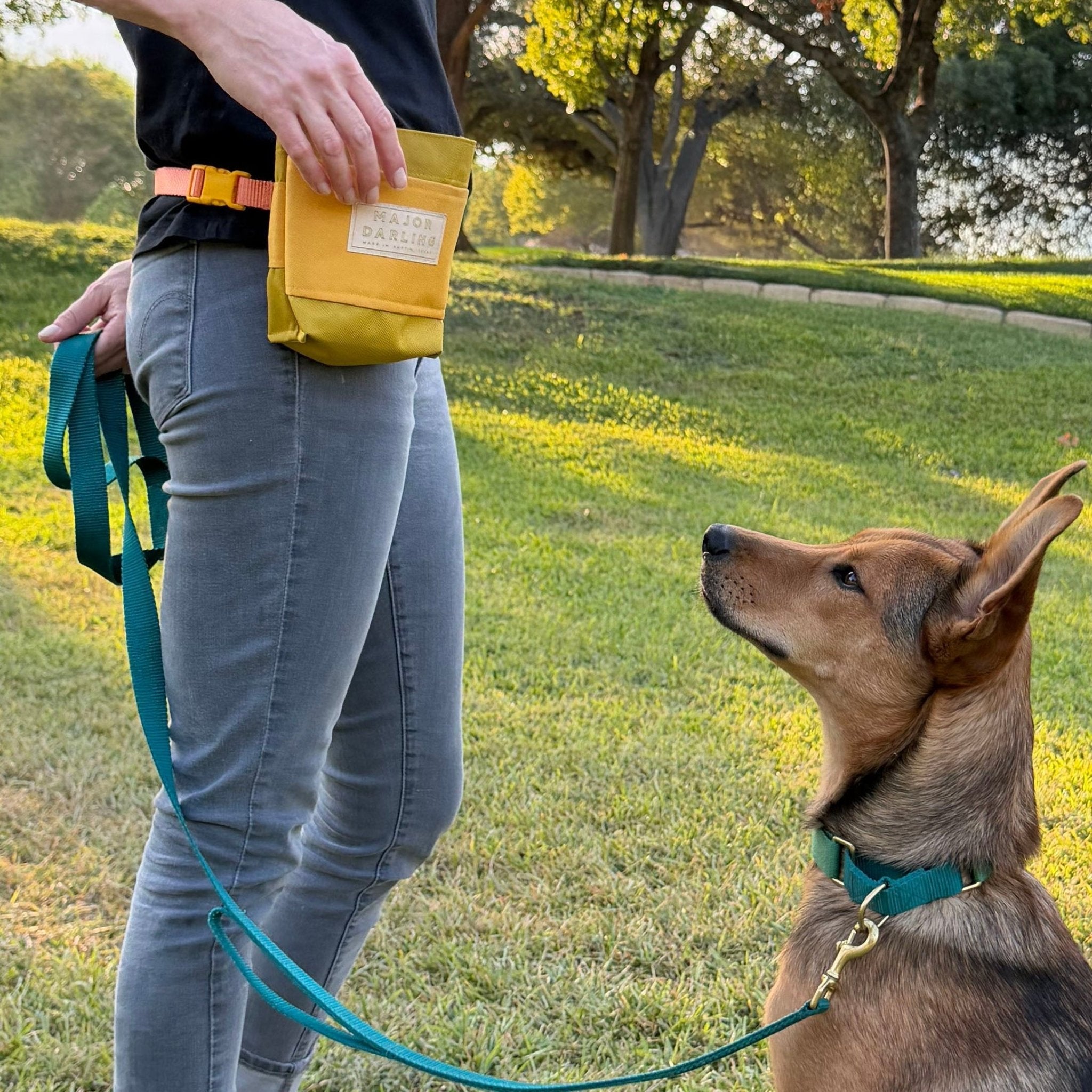 Training Treat Pouch - Aware House