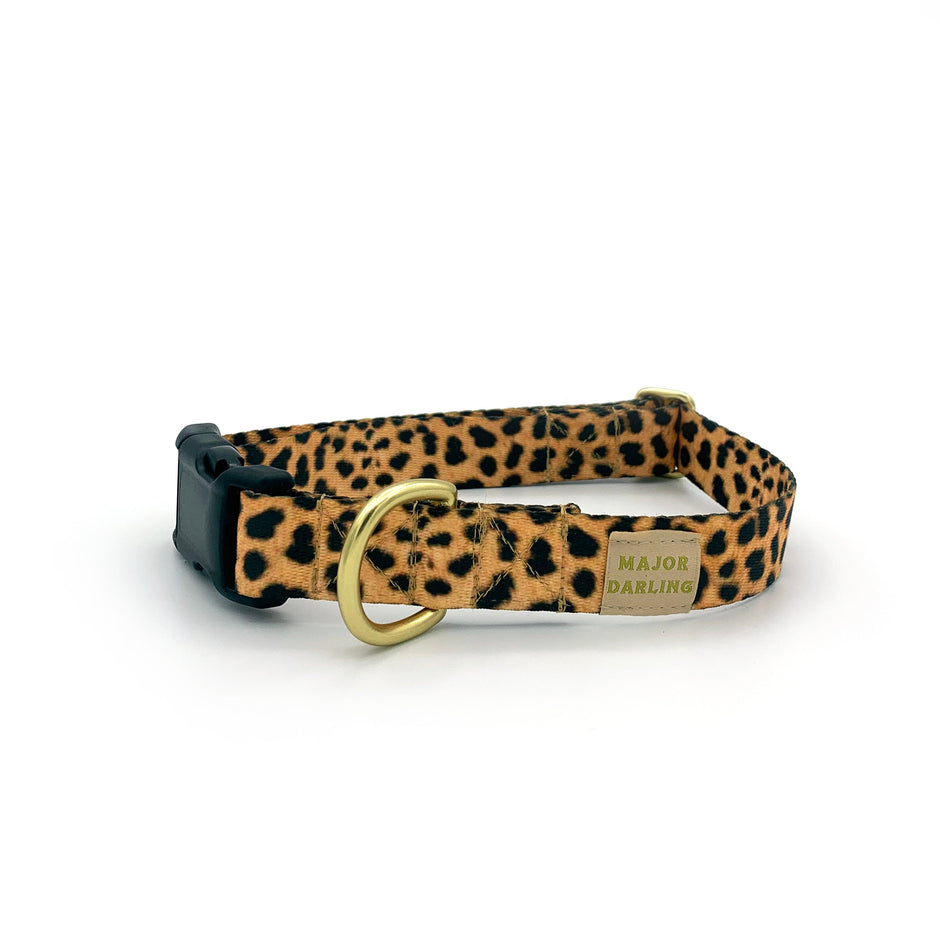 Not-So-Basic Snap Dog Collar | Leopard