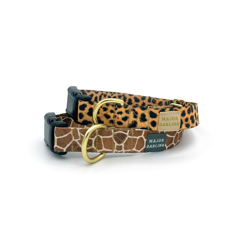 Not-So-Basic Snap Dog Collar / Leopard-zoom-