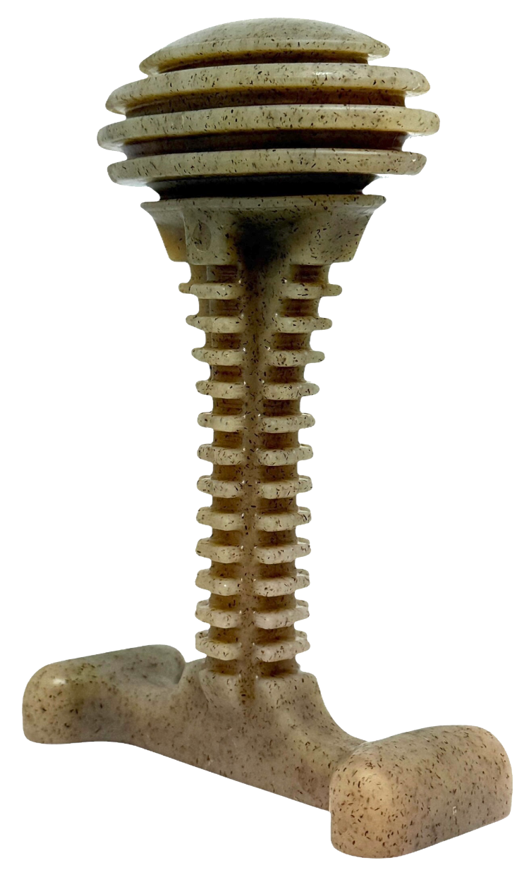 Honey Bone Dental Tower-6