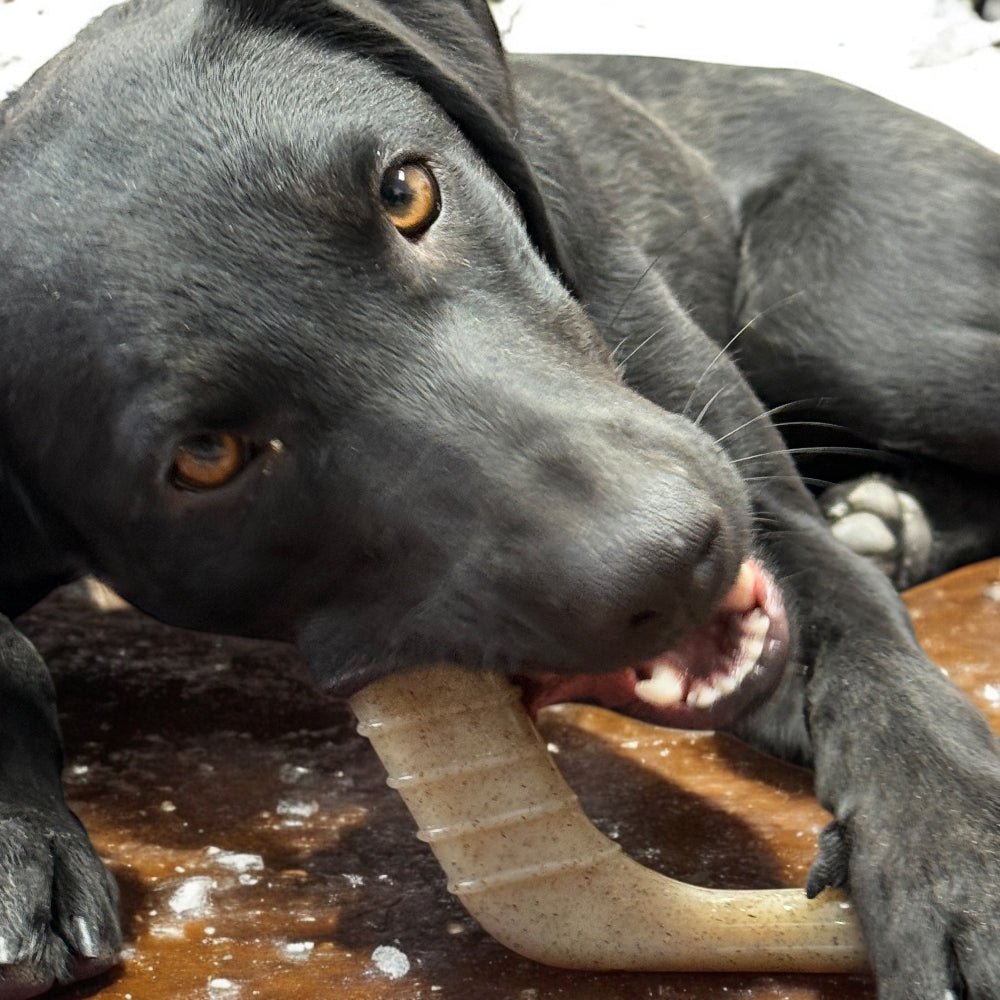 Hockey Stick Nylon Dog Chew Toy - Aware House