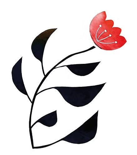 Floral Boxed Card Sets-zoom-5