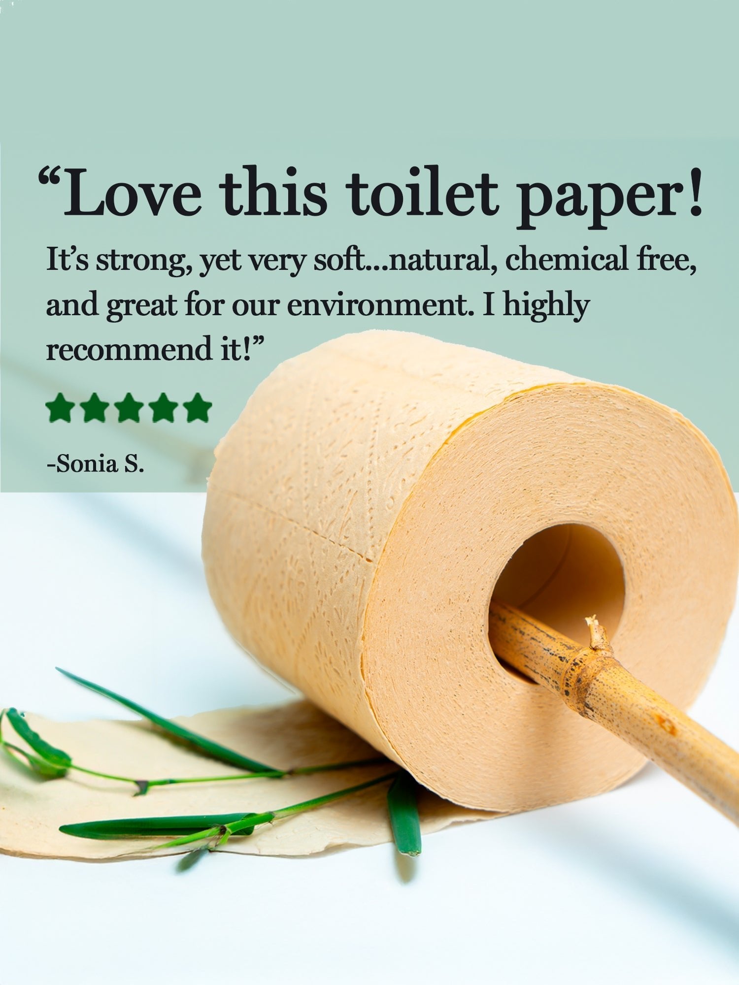 Panda Eco Paper | Bamboo Toilet Paper Sample - Aware House - Rustic Strength - 
