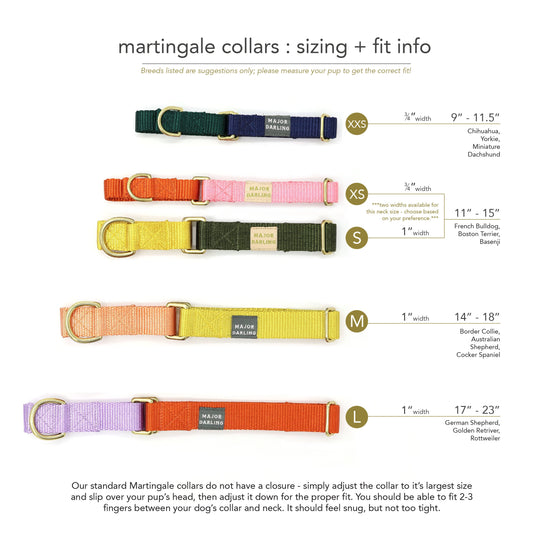 Martingale Dog Collar / Serape + Navy