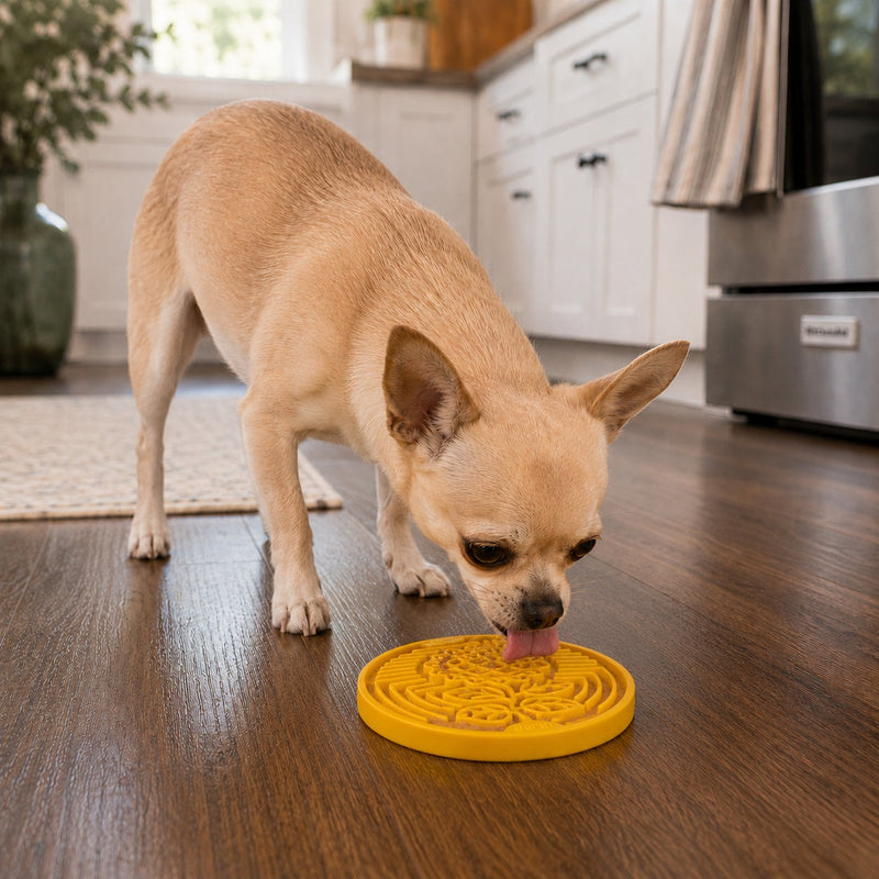 Earth eCoin Nylon Lick Mat for Dogs-zoom-