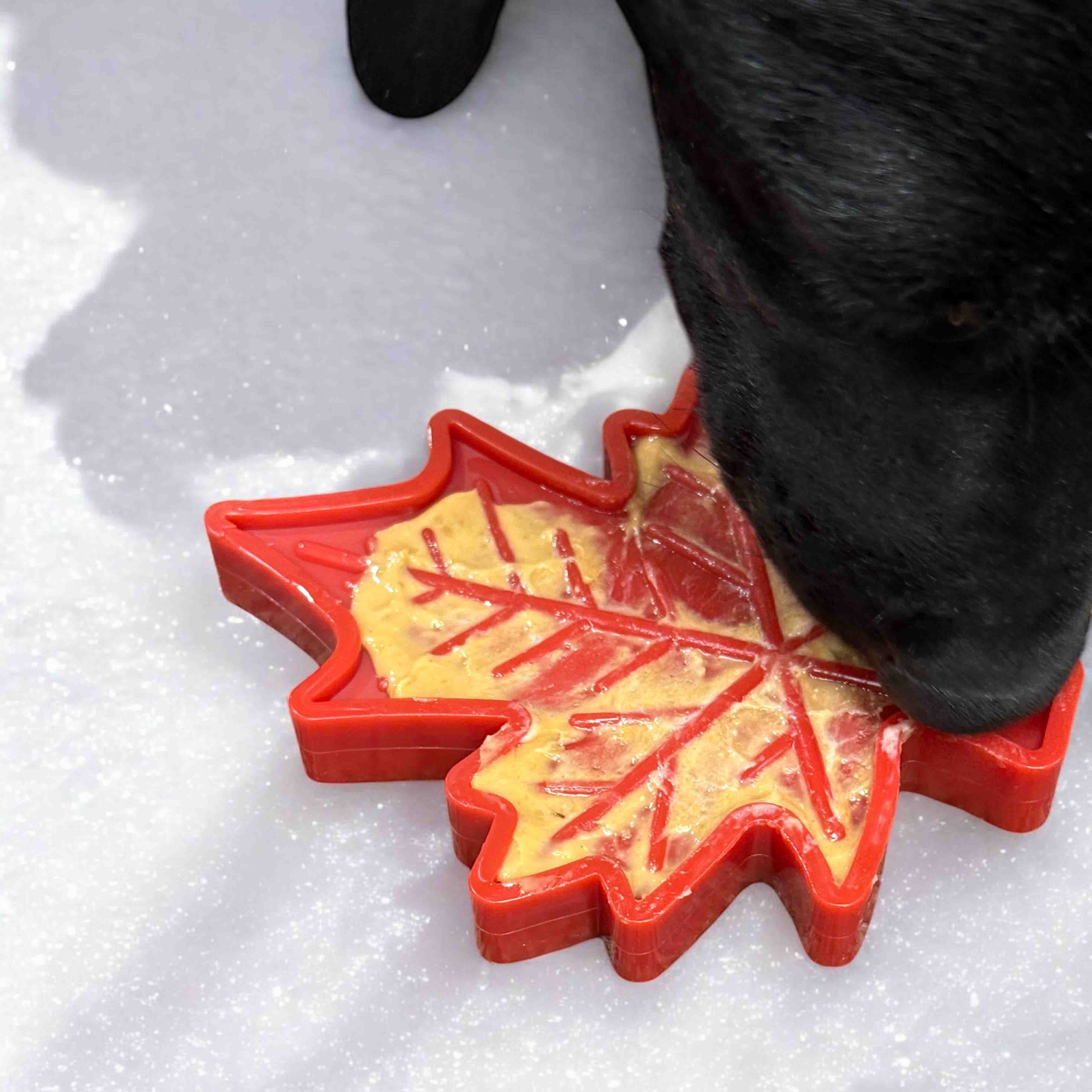 Canadian Maple Leaf Nylon Dog Chew Toy - Indestructible & USA Made-zoom-10