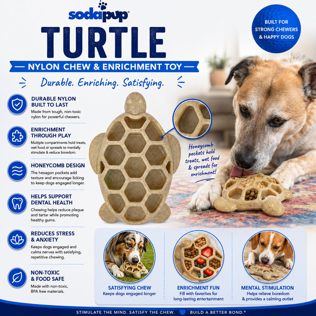Turtle Nylon Chew & Enrichment Toy-3