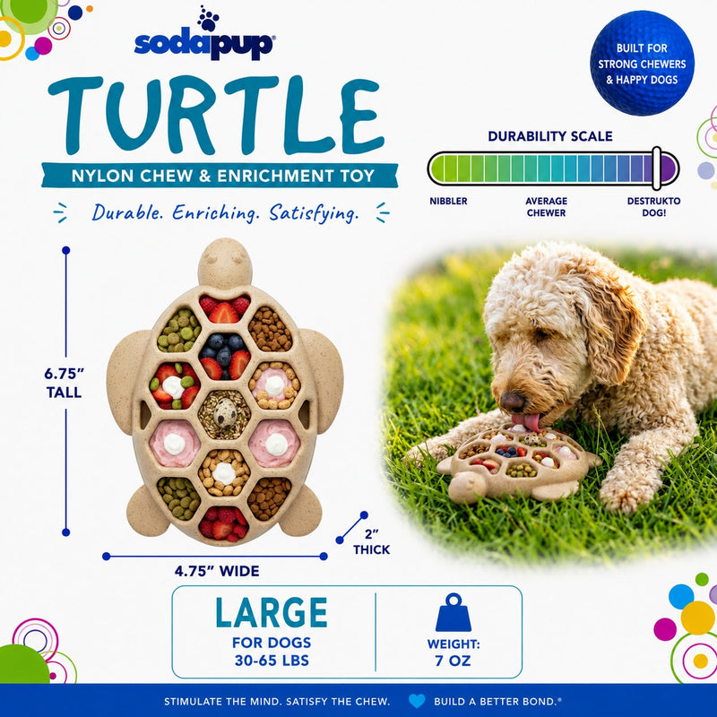Turtle Nylon Chew & Enrichment Toy-zoom-