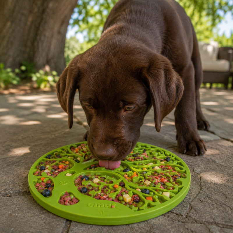Tree of Life Lick Mat for Dogs and Cats-zoom-