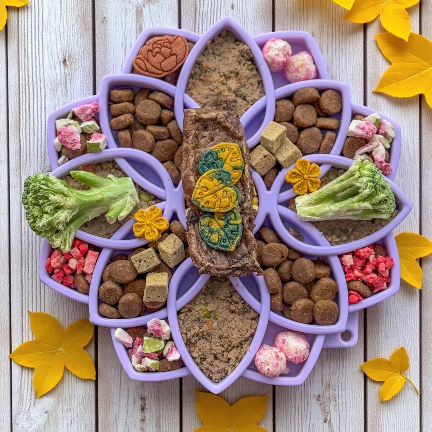 Mandala Softie eTray Shallow Slow Feeder Dog Bowl-zoom-2
