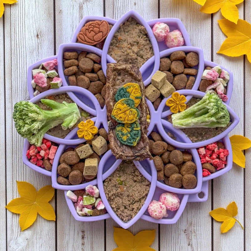 Mandala Softie eTray Shallow Slow Feeder Dog Bowl-zoom-