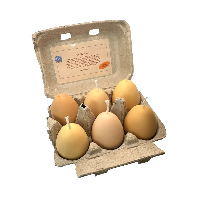 Egg Candles | Box of Six-zoom-
