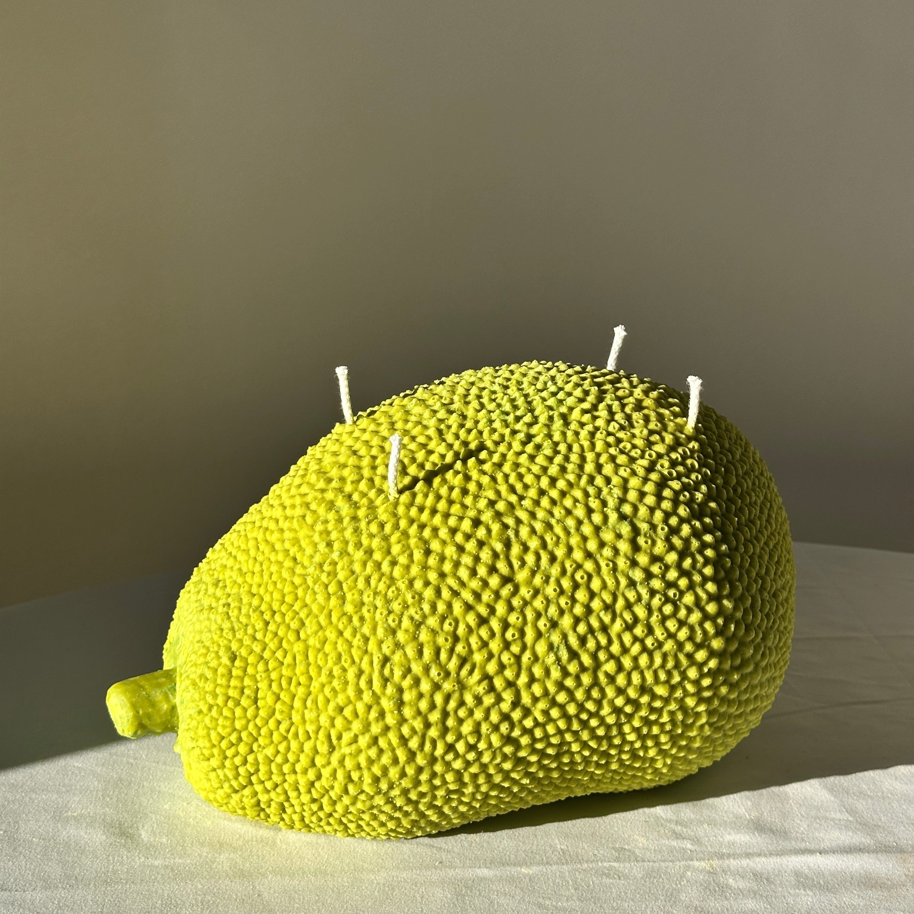Jackfruit Candle