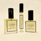 Lions in the Library | Eau de Parfum
