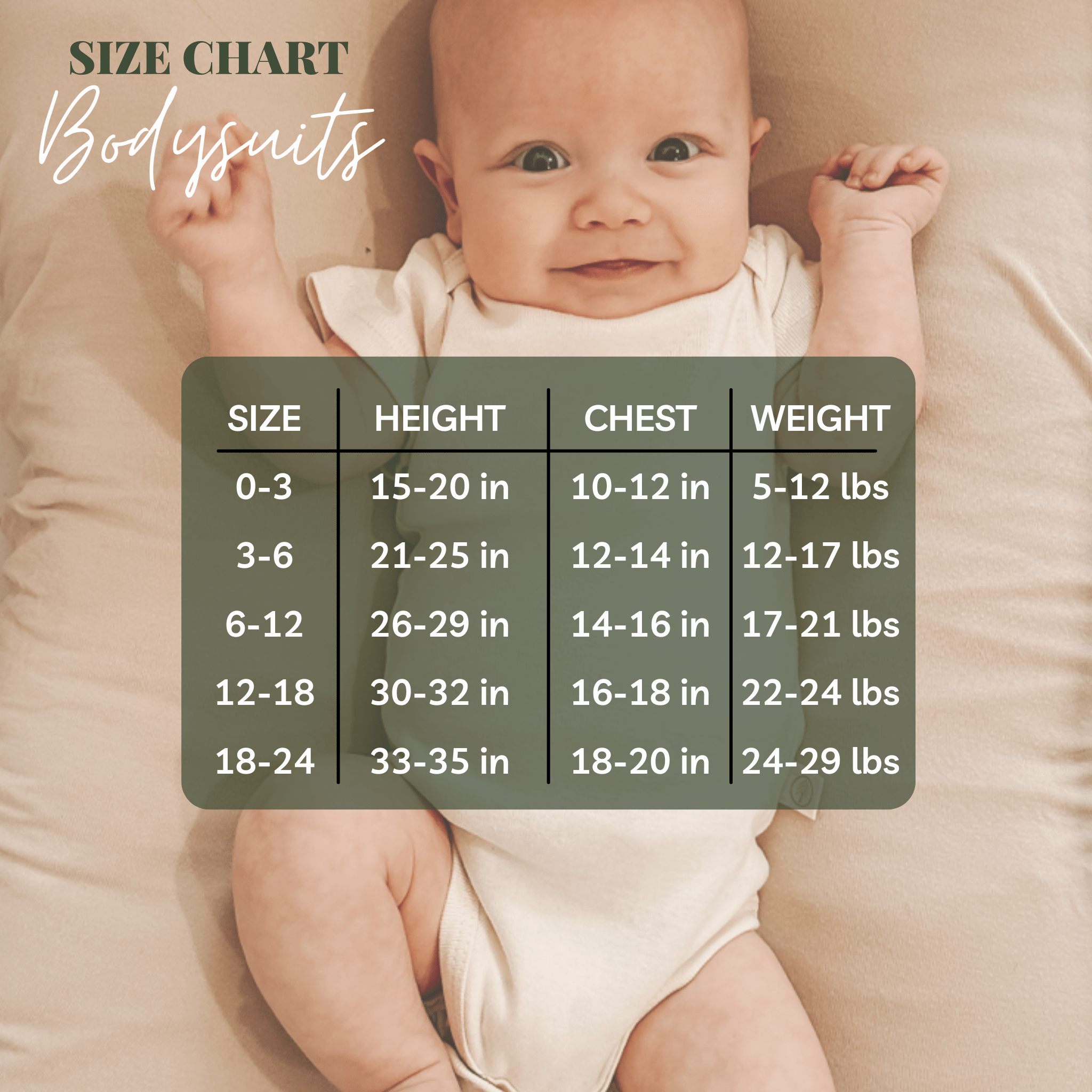 Little Sister Clay Organic Cotton Short Sleeve Baby Bodysuit-zoom-5