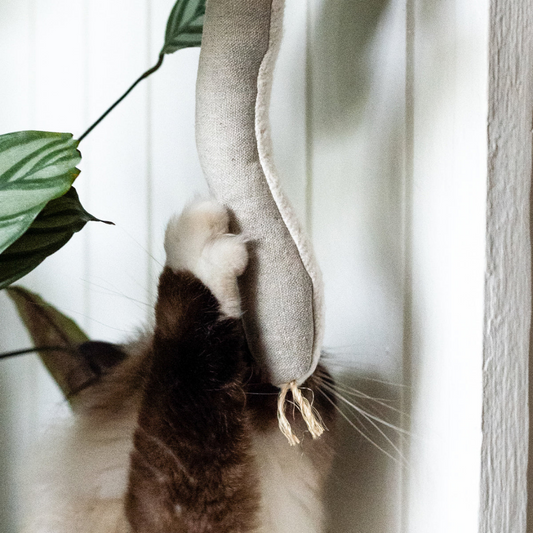 Boba & Vespa Snake Toy for Cats