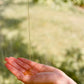 Forest Hand & Body Wash