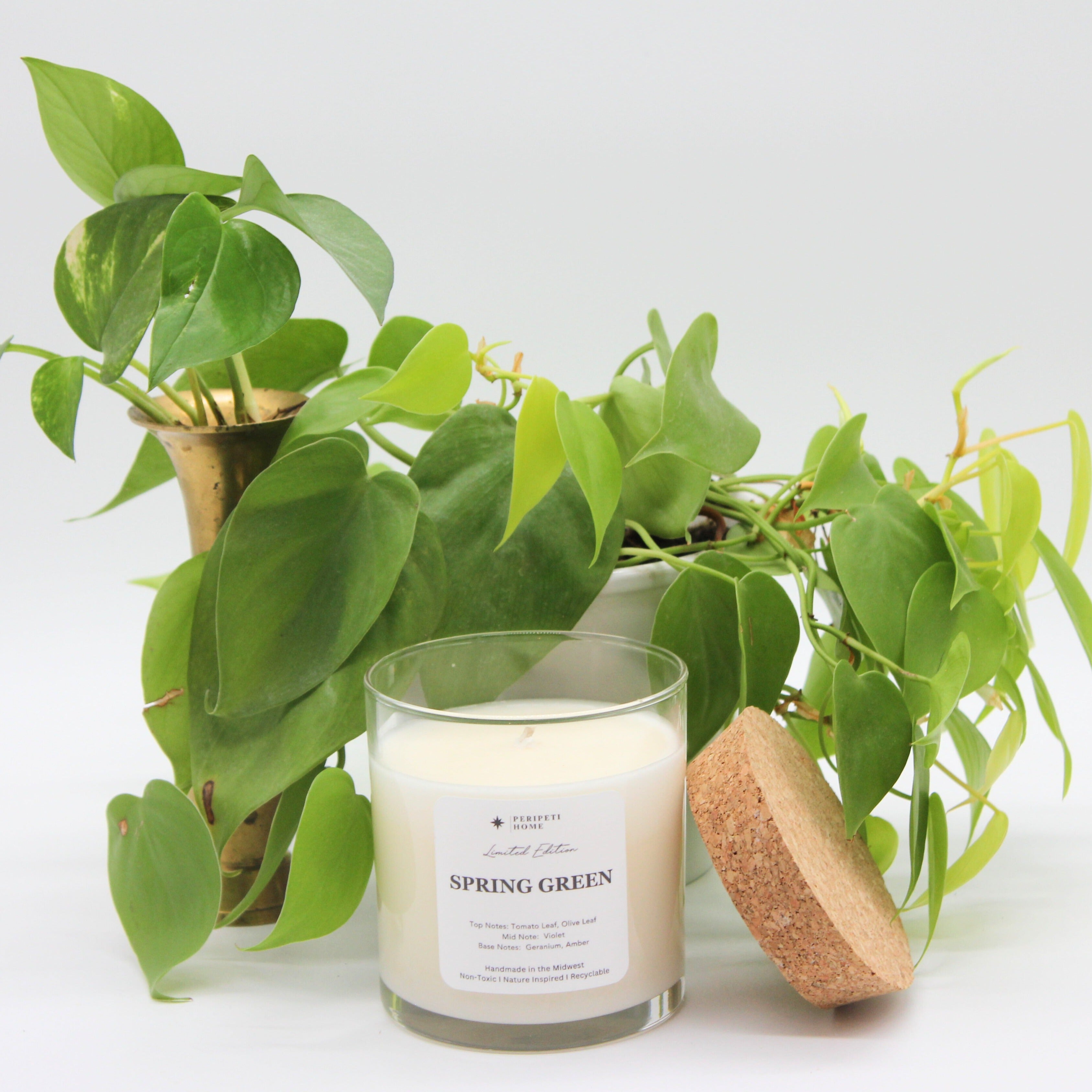 Classic Wick Soy Candle-zoom-11