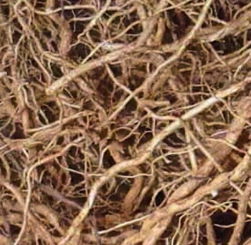 Still Earth Vetiver Sandalwood Botanical Scent Balm-zoom-