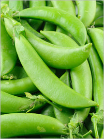 Peas - Sugar Snap-zoom-2