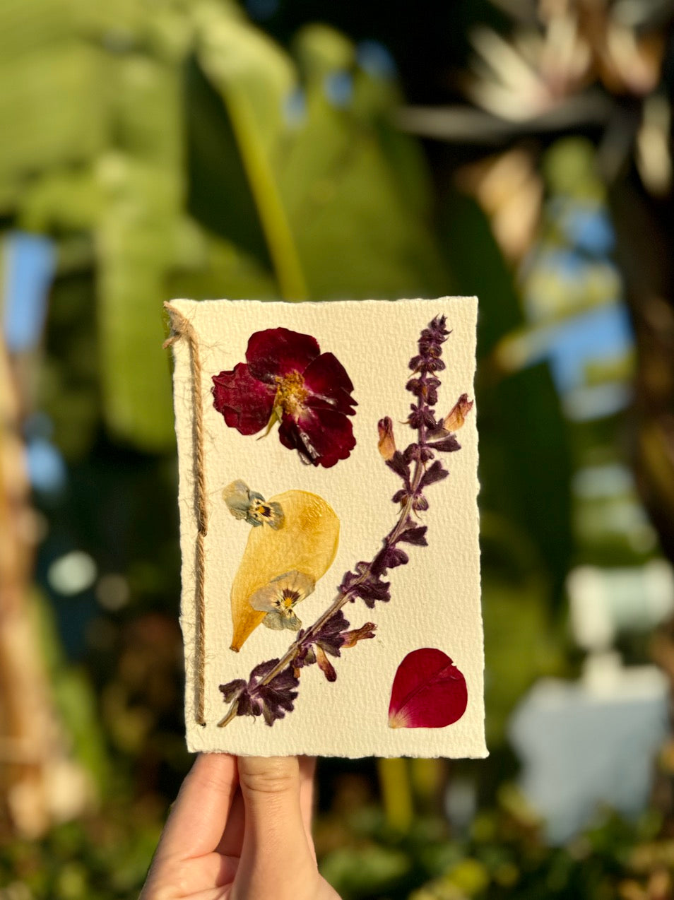 Hardten's Garden Pressed Flower Cards + Seeds