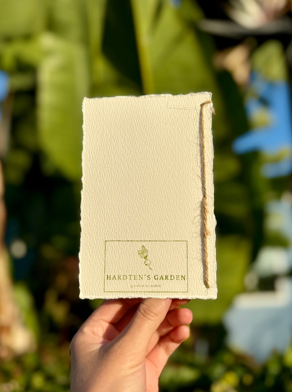 Hardten's Garden Pressed Flower Cards + Seeds