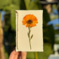 Hardten's Garden Pressed Flower Cards + Seeds