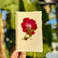 Hardten's Garden Pressed Flower Cards + Seeds