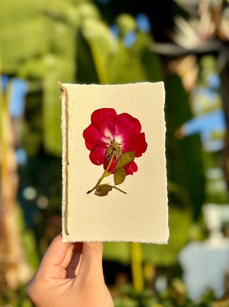 Hardten's Garden Pressed Flower Cards + Seeds-zoom-