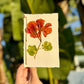 Hardten's Garden Pressed Flower Cards + Seeds