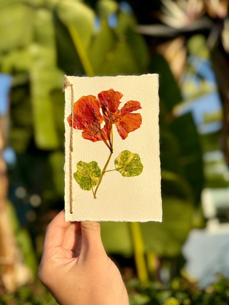 Hardten's Garden Pressed Flower Cards + Seeds-zoom-