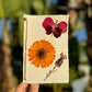 Hardten's Garden Pressed Flower Cards + Seeds