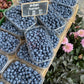 Jumbo Blueberry Cobbler Soy Candle