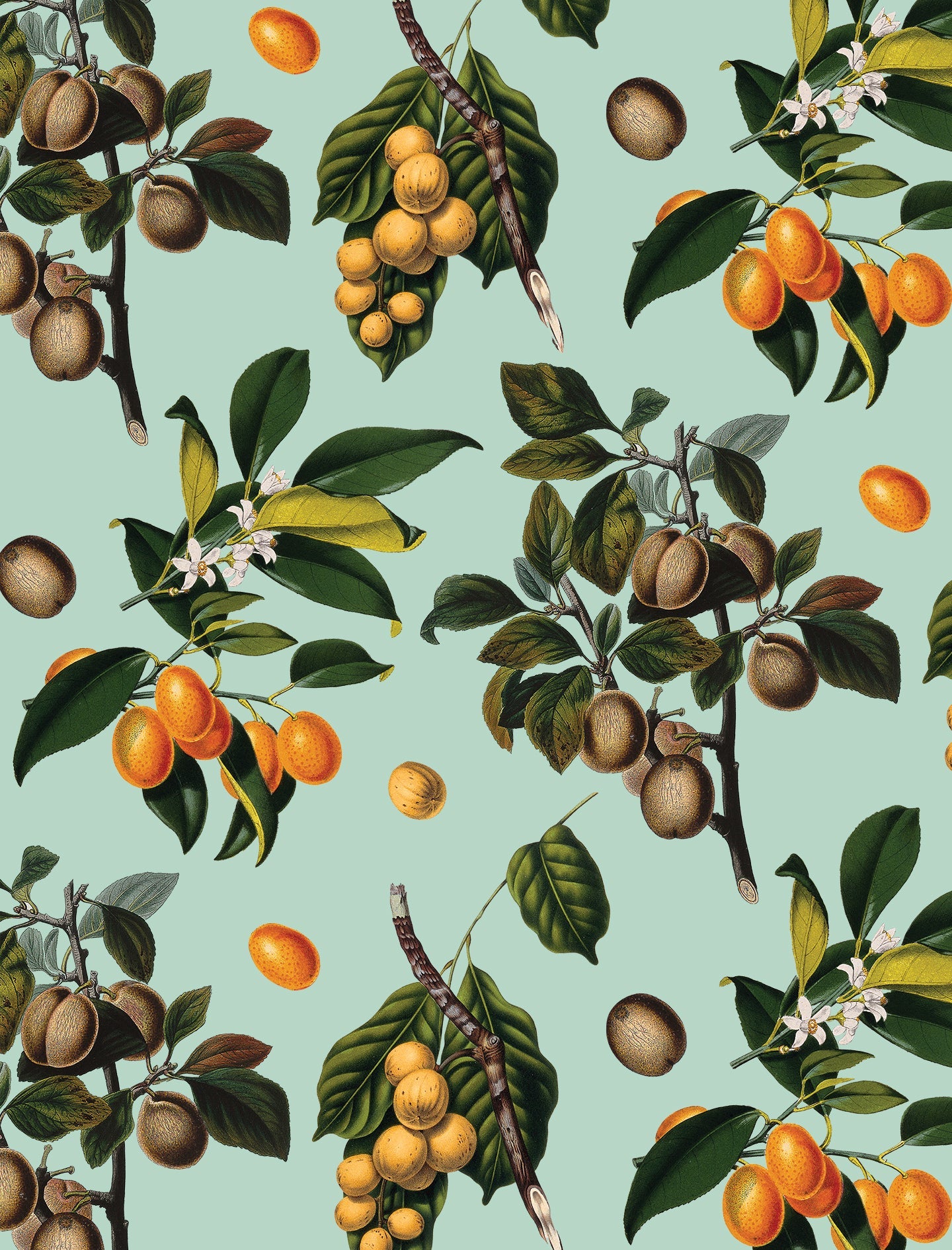 Vintage Orchard Wallpaper, robin egg-2
