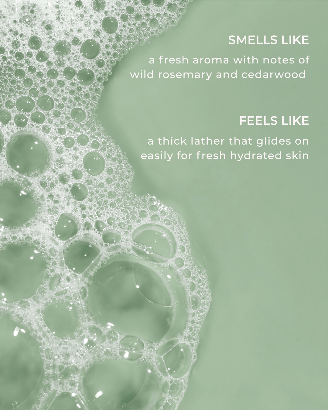 Forest Hand & Body Wash
