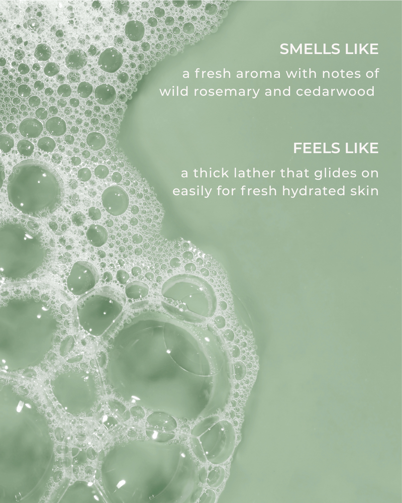 Forest Hand & Body Wash-zoom-