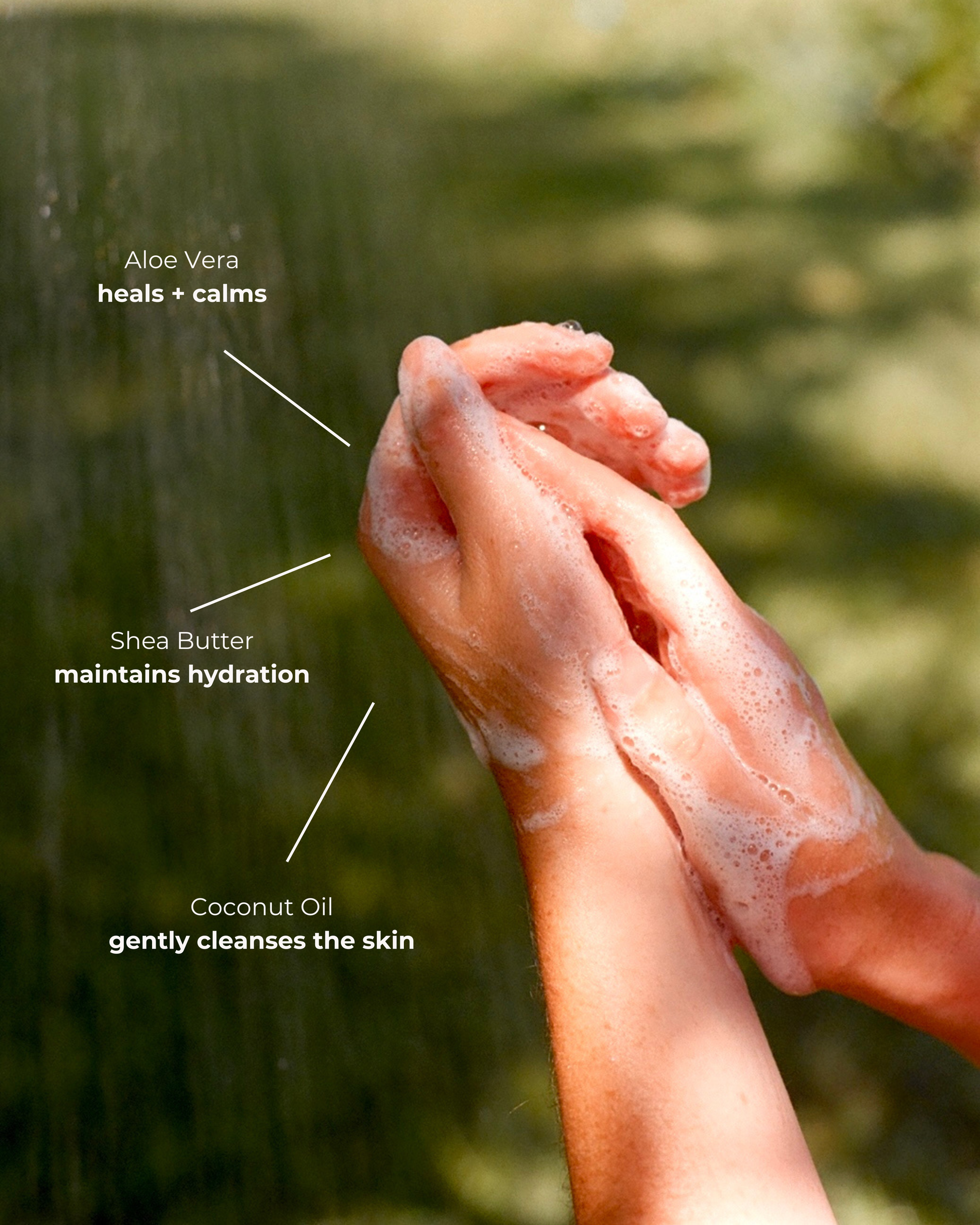 Forest Hand & Body Wash-3