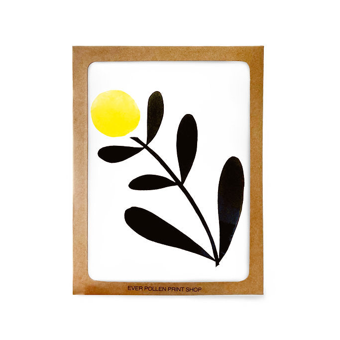 Floral Boxed Card Sets