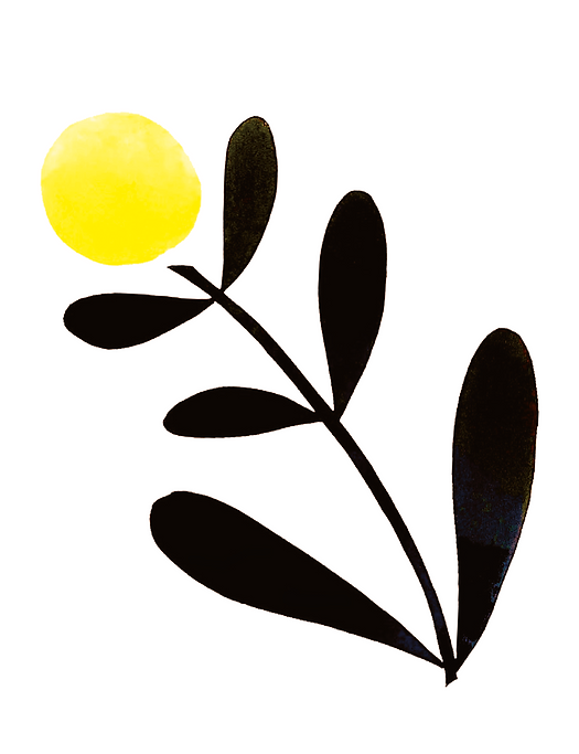 Floral Boxed Card Sets-zoom-7