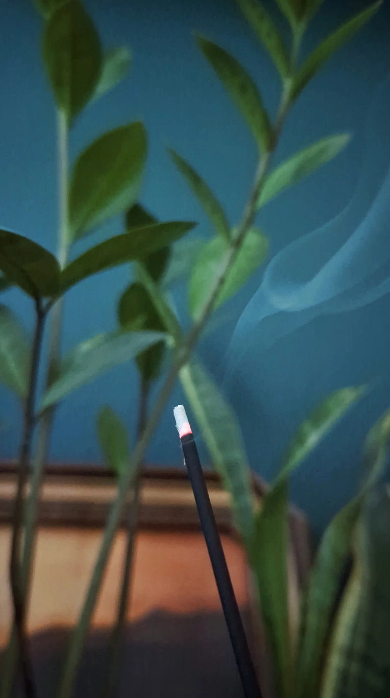 Smoked Oud & Vanilla Charcoal Incense Sticks-zoom-3