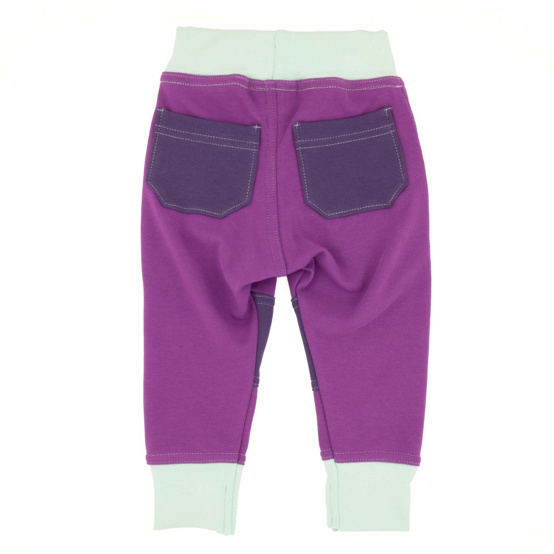 Big Kid Colorblock Joggers | Organic Cotton Colorblock Joggers - Aware House