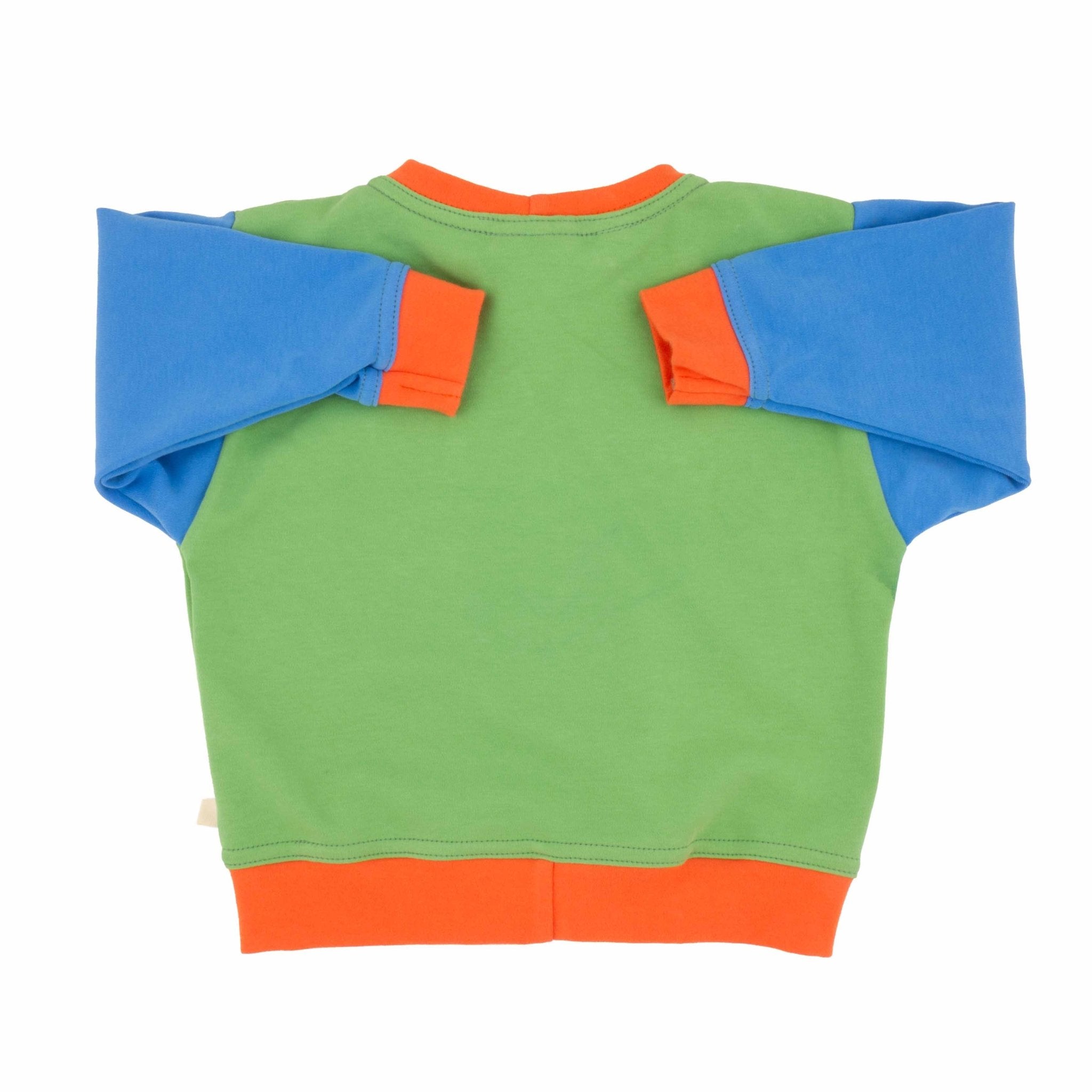 Toddler Colorblock Sweatshirt | Soft Organic Cotton Sweatshirt with Bold Colorblocking - Aware House