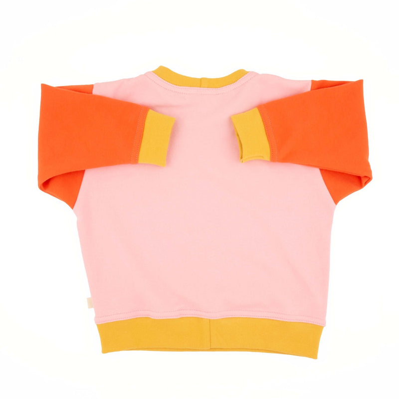 Big Kid Colorblock Sweatshirt | Organic Cotton Colorblock Sweatshirt for Kids-zoom-