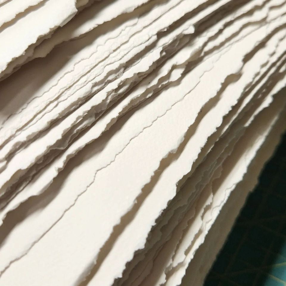 Orange Rose | Journey Journal-zoom-6