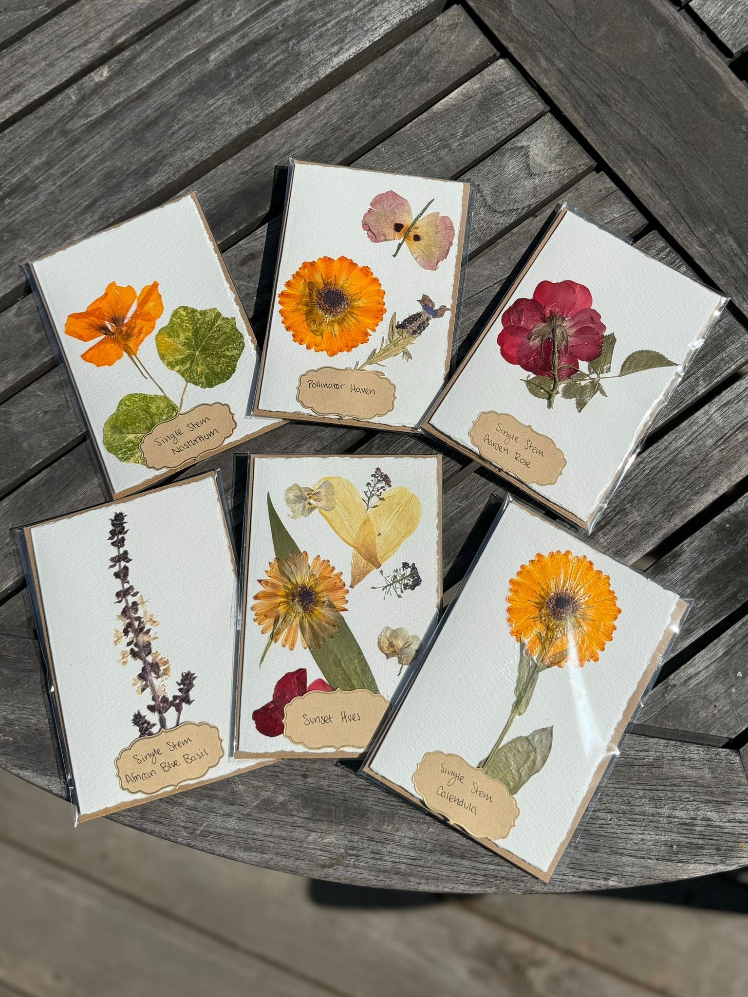 cards with seeds to plant Hardten's Garden Pressed Flower Card + Seeds