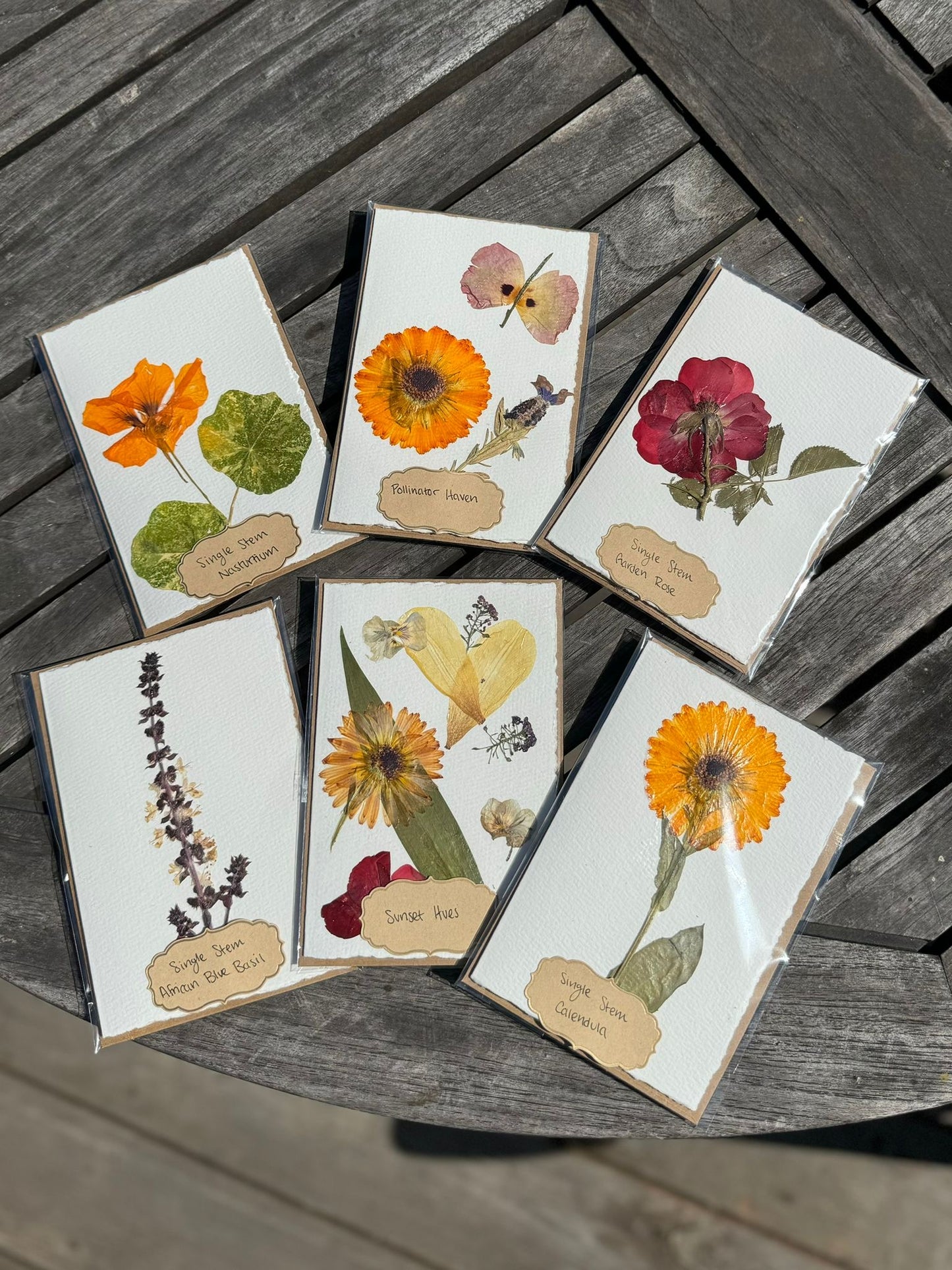 Hardten's Garden Pressed Flower Cards + Seeds