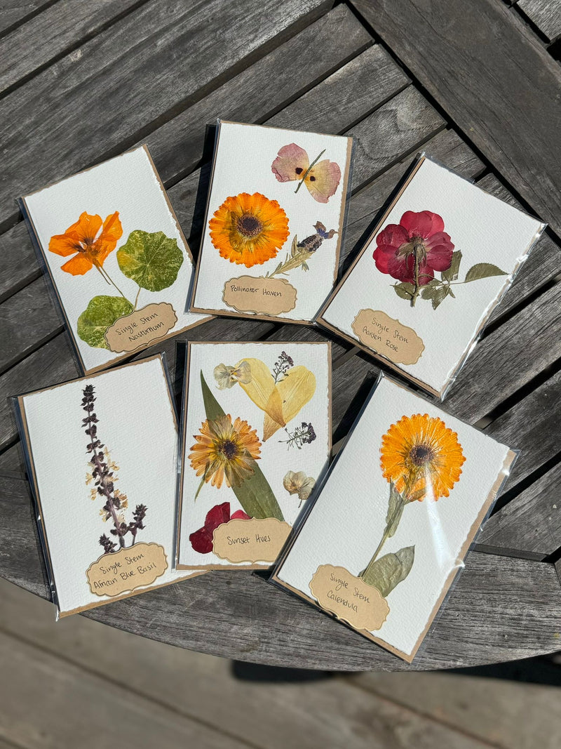 Hardten's Garden Pressed Flower Cards + Seeds-zoom-
